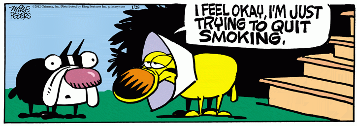 Strip du jour