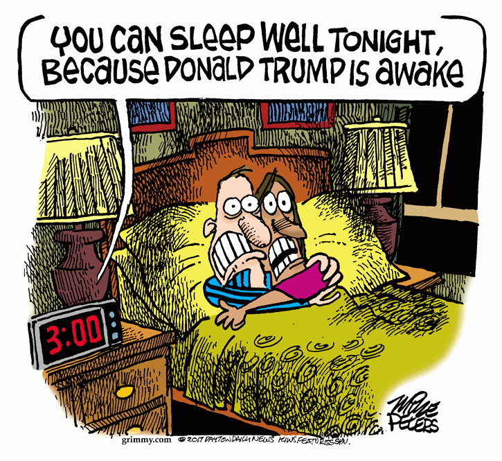 The Official Shoe Comic Strip site