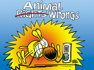 animal wrongs - desktop wallpaper